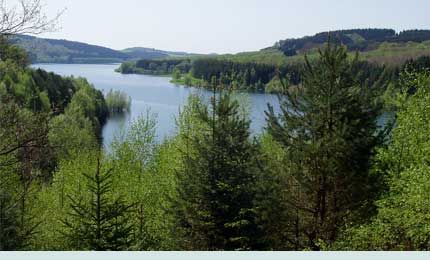 Die Talsperre im Sommer