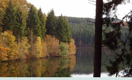 Die Dhünntalsperre im Herbst